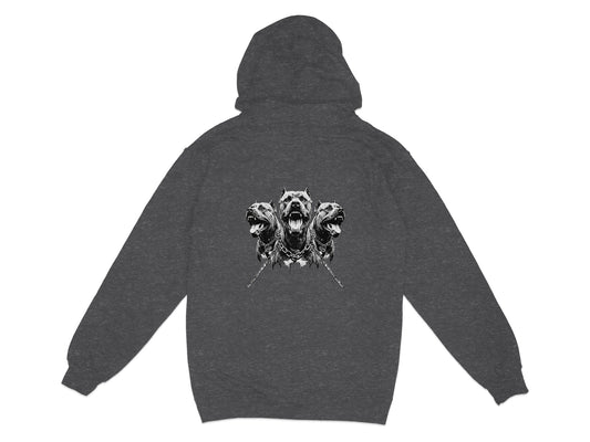 Dark gray hoodie with a three-headed dog graphic on the back.