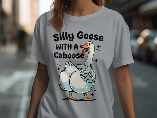 Grey t-shirt with a cartoon goose wearing sunglasses and text "Silly Goose with a Caboose".
